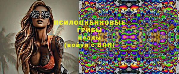 прущие крисы Елизово