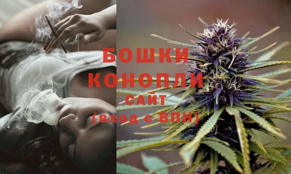 прущая мука Дмитриев