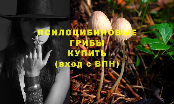 PSILOCYBIN Ельня