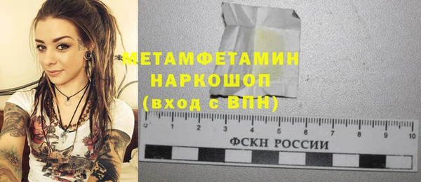 прущие грибы Дмитров