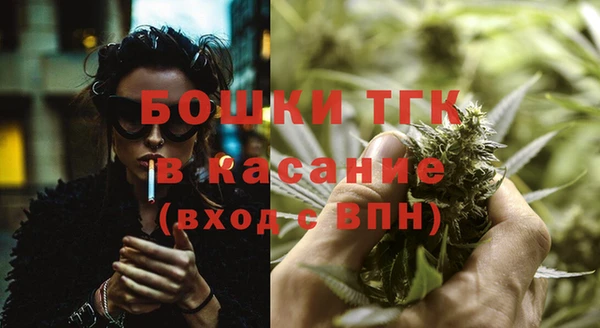 PSILOCYBIN Ельня