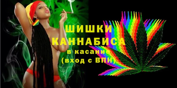 прущие грибы Дмитров