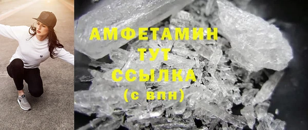 PSILOCYBIN Ельня